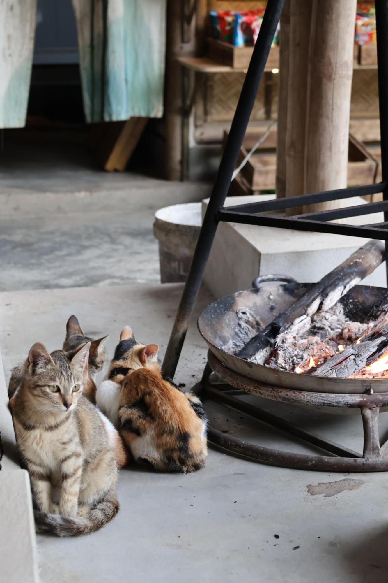 Dinh Gia Trang - Homestay & Coffee The Ruong Екстер'єр фото