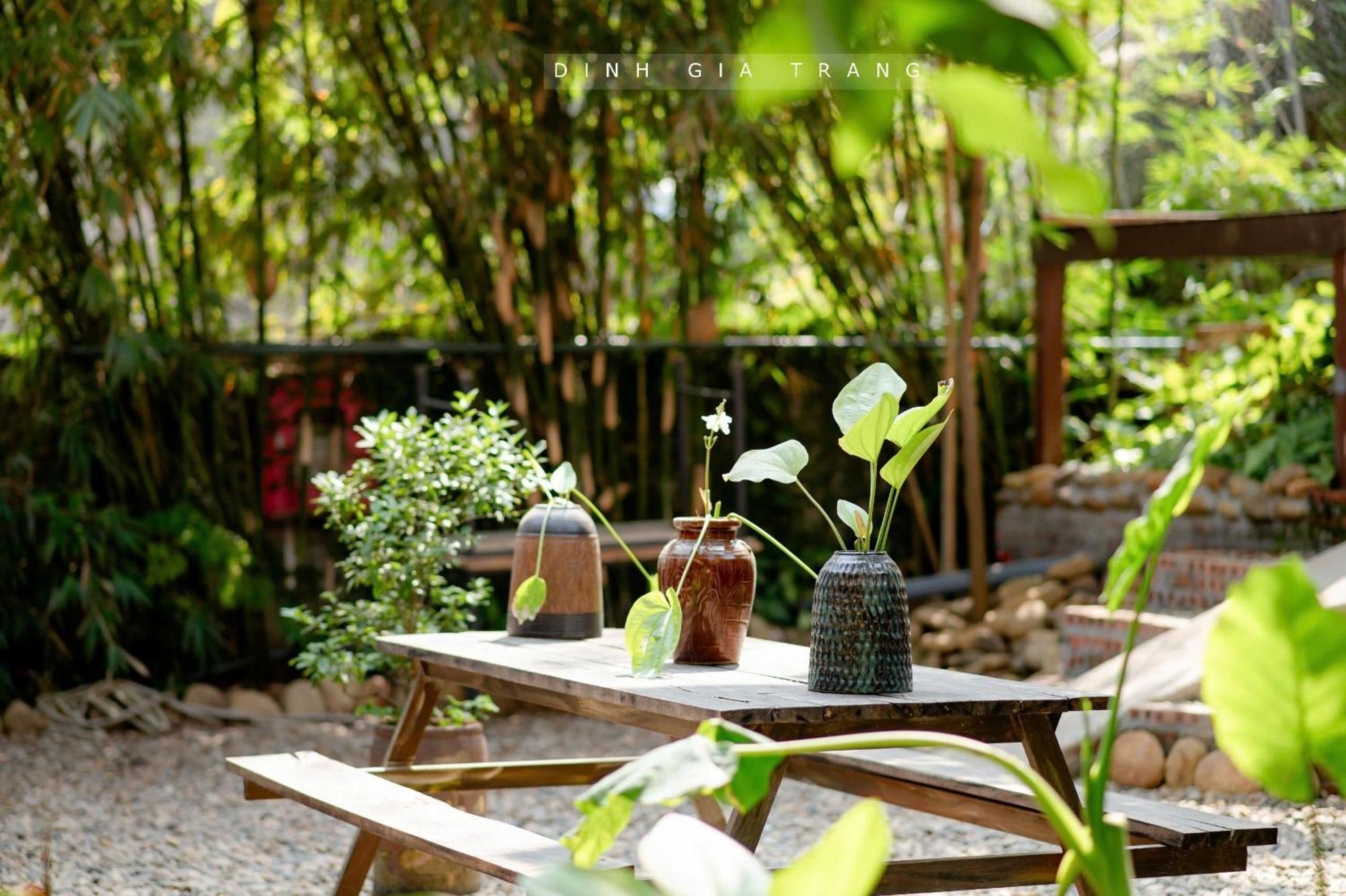 Dinh Gia Trang - Homestay & Coffee The Ruong Екстер'єр фото