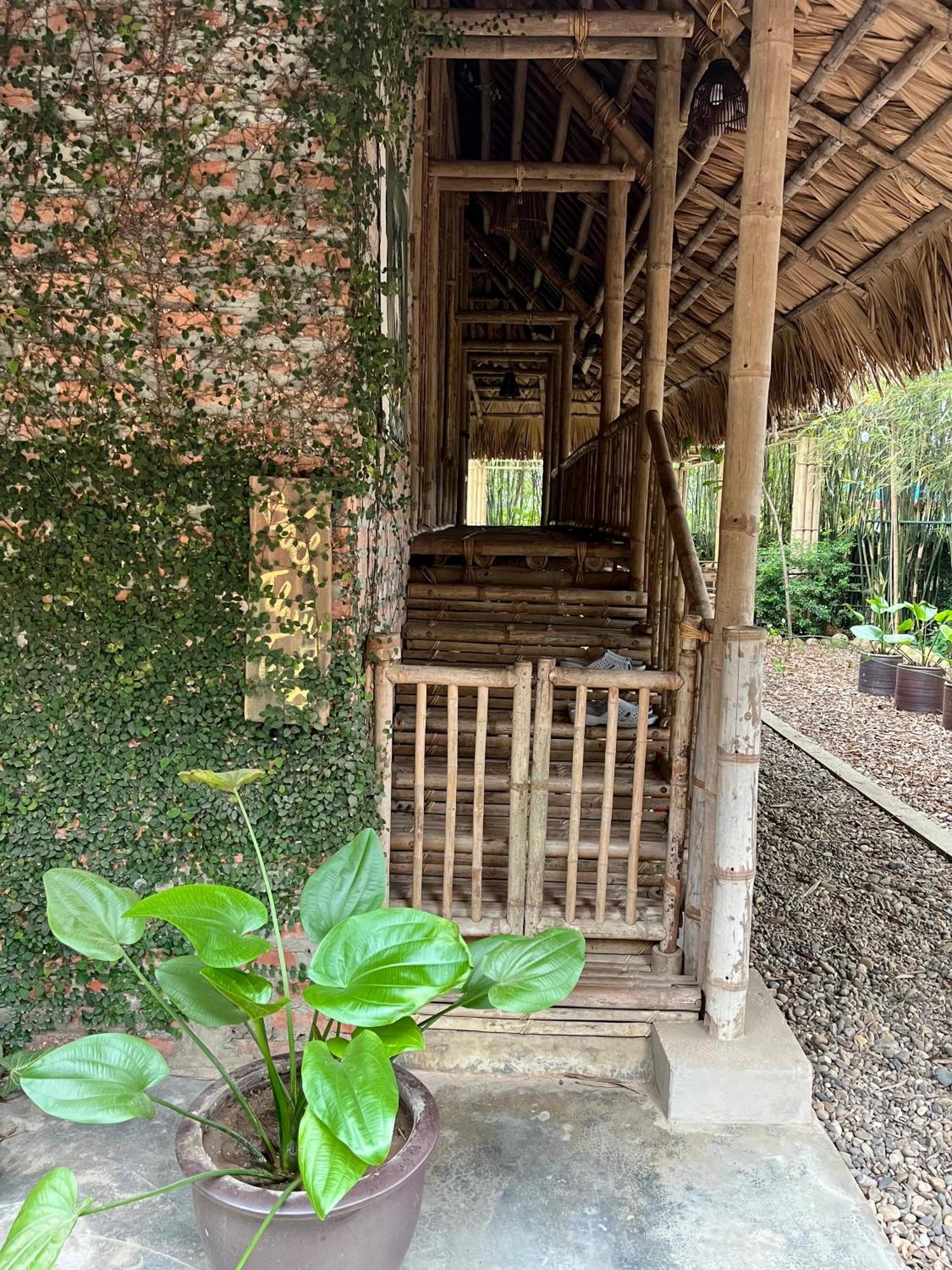 Dinh Gia Trang - Homestay & Coffee The Ruong Екстер'єр фото