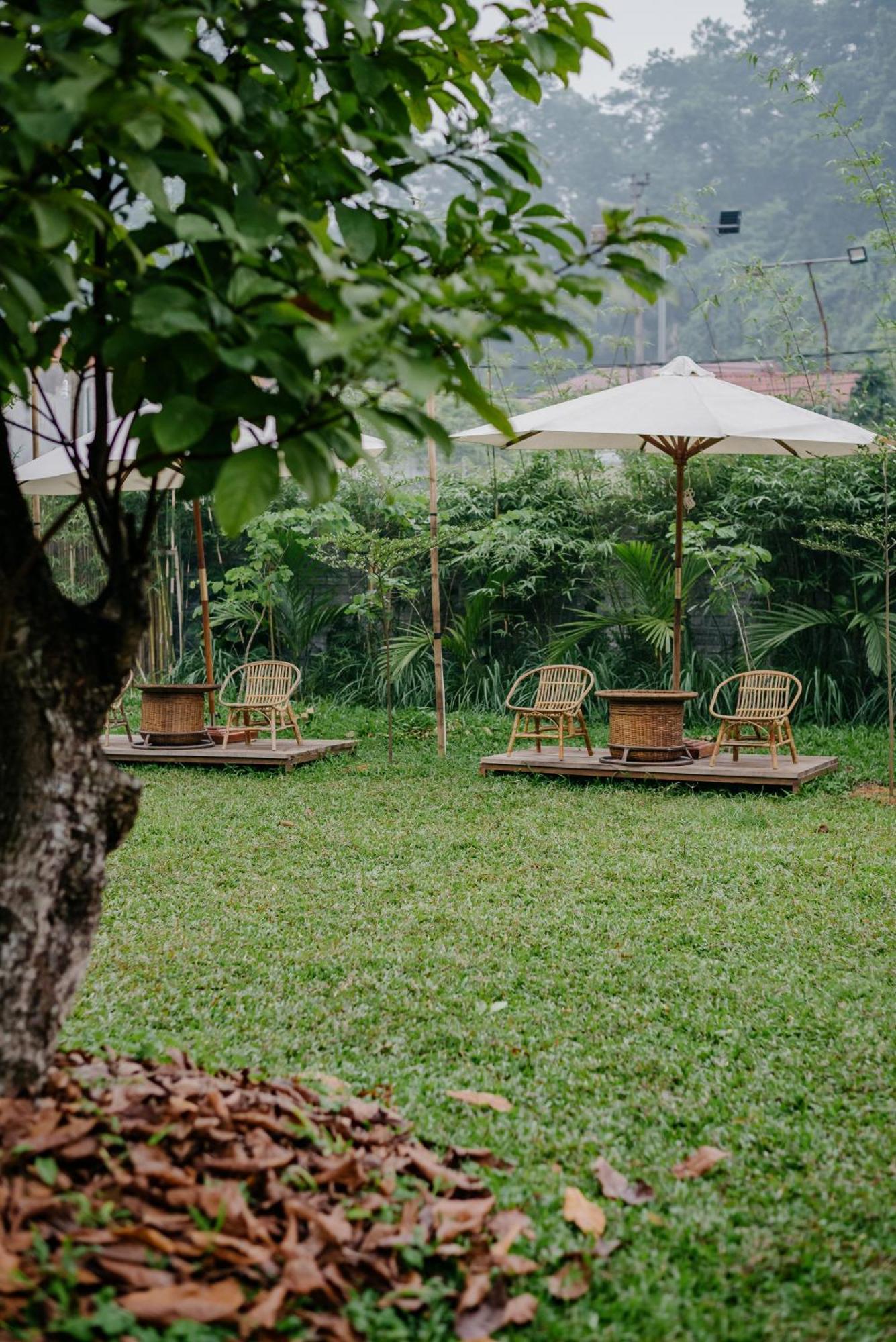 Dinh Gia Trang - Homestay & Coffee The Ruong Екстер'єр фото